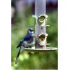imageWagners 52003 Classic Blend Wild Bird Food 6Pound Bag20 Pound Pack of 1