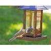 imageWagners 62028 Striped Sunflower Seed Wild Bird Food 5Pound Bag