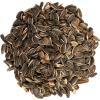 imageWagners 62028 Striped Sunflower Seed Wild Bird Food 5Pound Bag