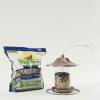 imageWagners 62034 Greatest Variety Blend Wild Bird Food 6Pound Bag599 Pound Pack of 1