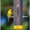 imageWagners 62051 Nyjer Seed Wild Bird Food 5Pound BagUnflavored