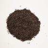 imageWagners 62053 Nyjer Seed Wild Bird Food 20Pound Bag