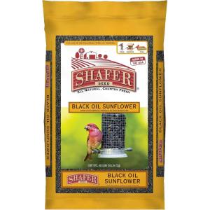 image51041 40Pound Bag Black Oil Sunflower Wild Bird Food