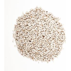 image84079 Safflower Seed Wild Bird Food 50 lb