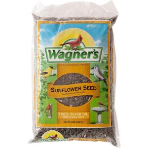 imageWagners 52023 Black Oil Sunflower Seed Wild Bird Food 5Pound Bag5Pound Bag