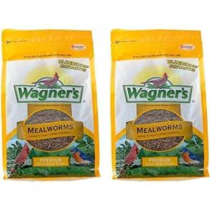 imageWagners 58005 Mealworms Wild Bird Food 18Ounce BagBird Food